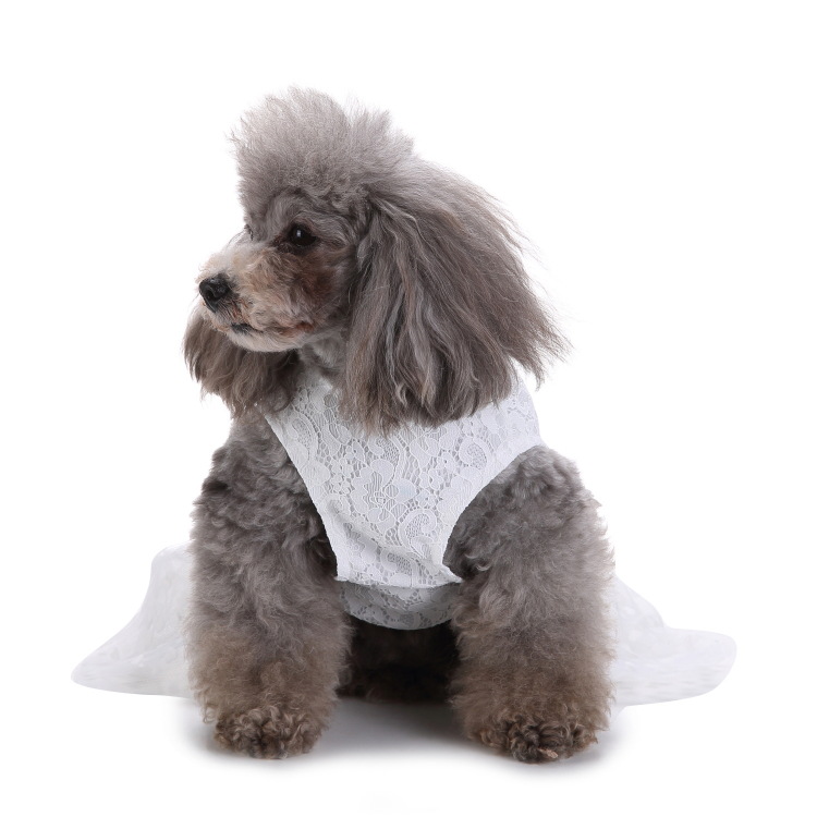 Pet Formal Dress  Dog Wedding Dress Lace Tulle Gown with Rose Accents